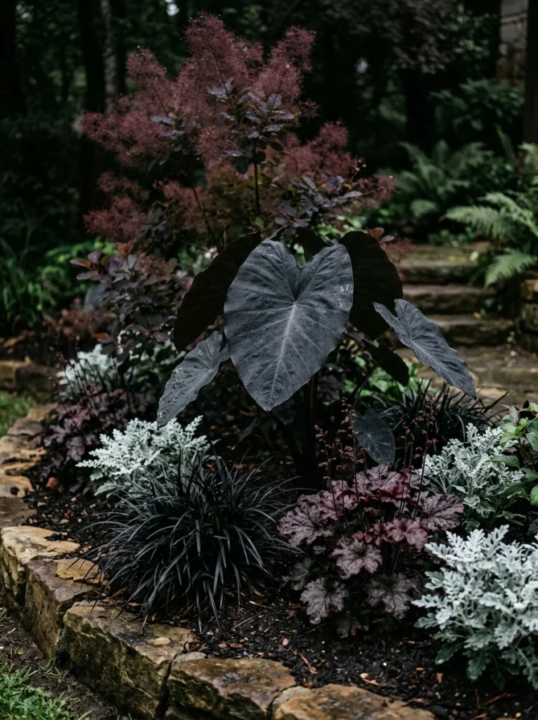 dark gothic garden aesthetic with black elephant ear purple smoke bush and black mondo grass