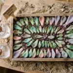 How to Propagate Succulents - The Complete Guide